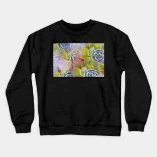 Succulent photographed through prism filter Crewneck Sweatshirt